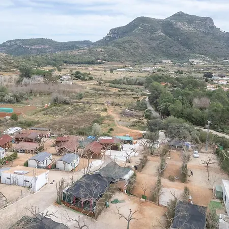 Falaguera 5 Bárig